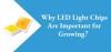Why LED Light Chips Are Important for Growing