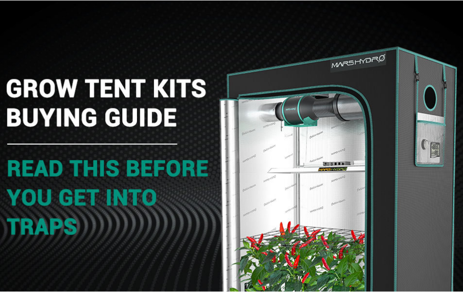 Grow Tent Kits Buying Guide: Read This Before You Get Into Traps!