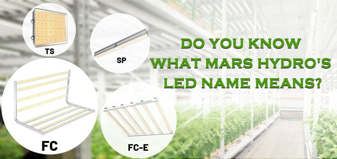 Do You Know What Mars Hydro's LED Name Means?