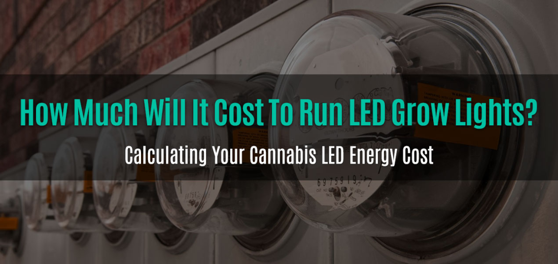 How Much Will It Cost To Run LED Grow Lights?