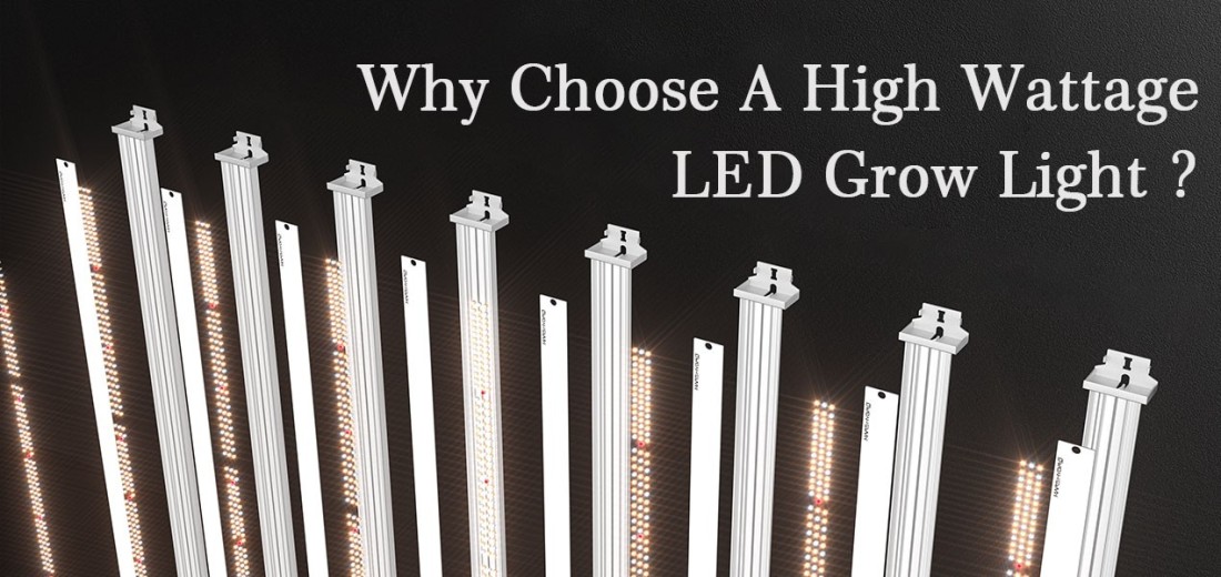 Why Choose A High Wattage LED Grow Light？