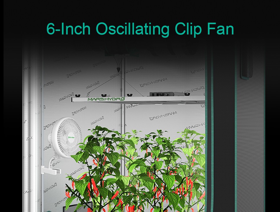 Your Indoor Ventilation Expert–Mars Hydro 6-Inch Oscillating Clip Fan