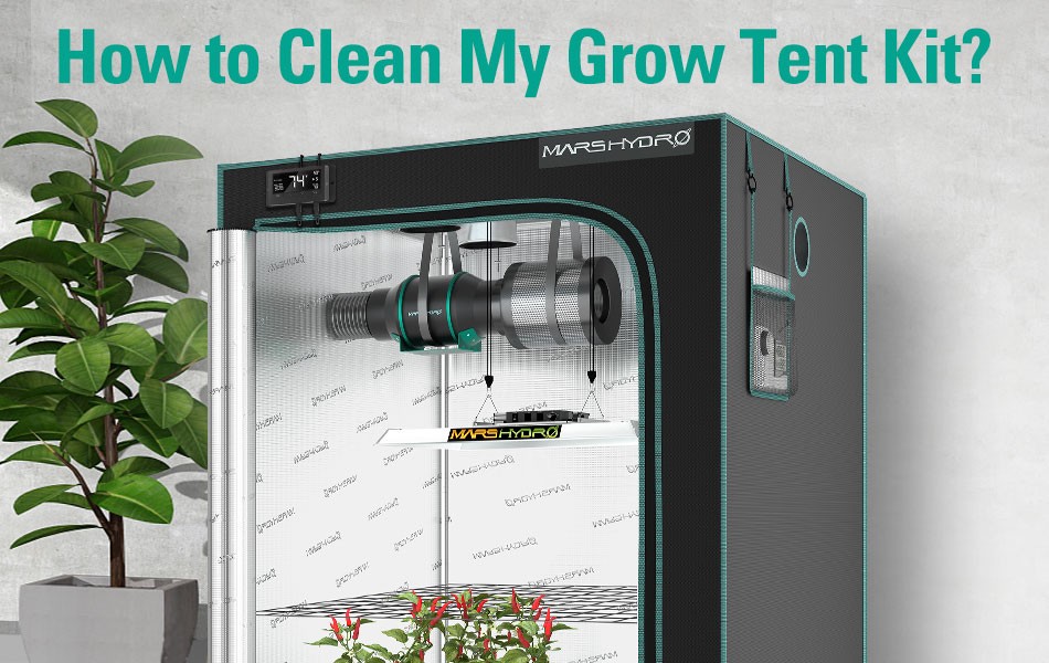 How to Clean My Grow Tent Kit?