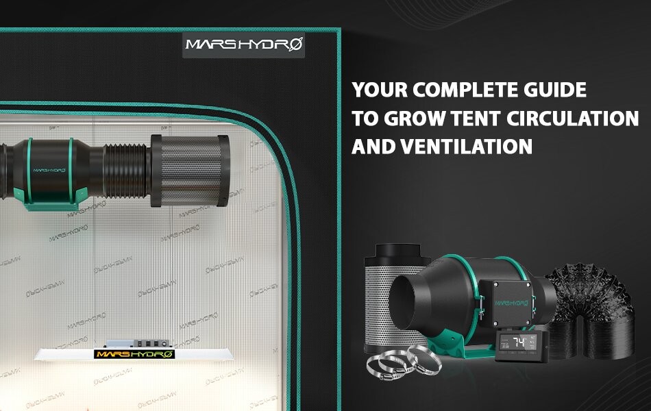 Your Complete Guide To Grow Tent Circulation and Ventilation