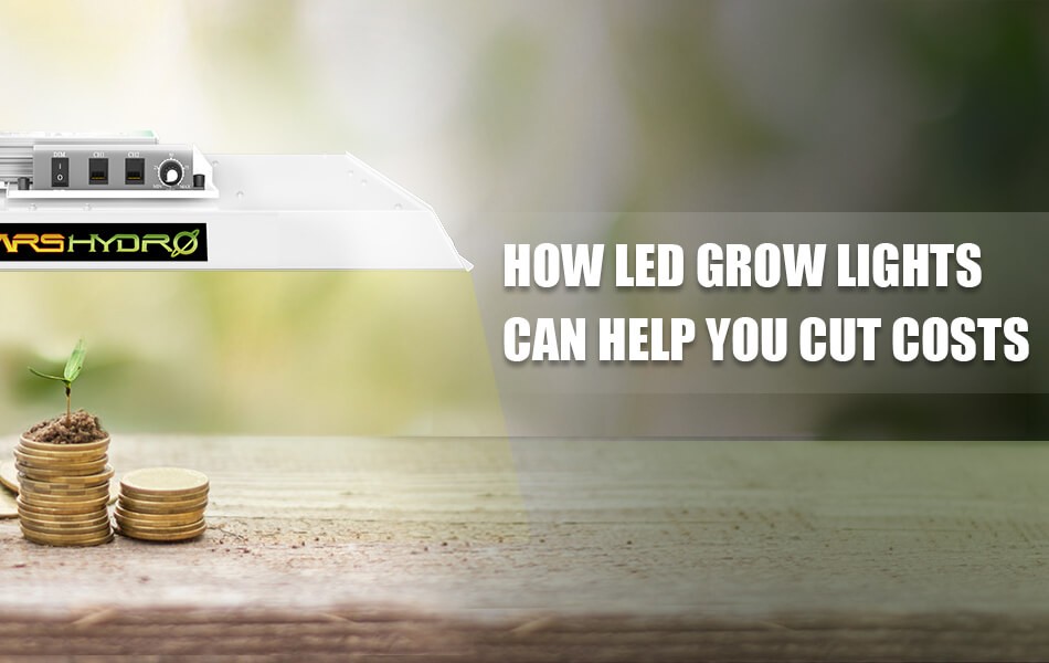 How LED Grow Lights Can Help You Cut Costs — Let LED Lights “Lighten” Your Wallet