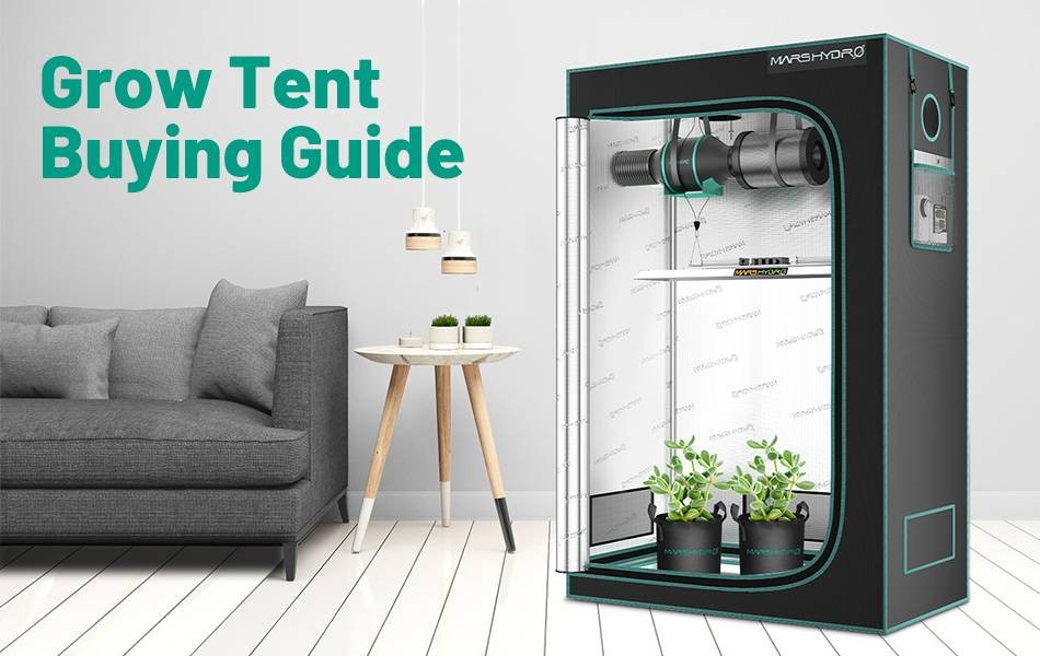 Grow Tent Buying Guide — How To Pick A Suitable Grow Tent 