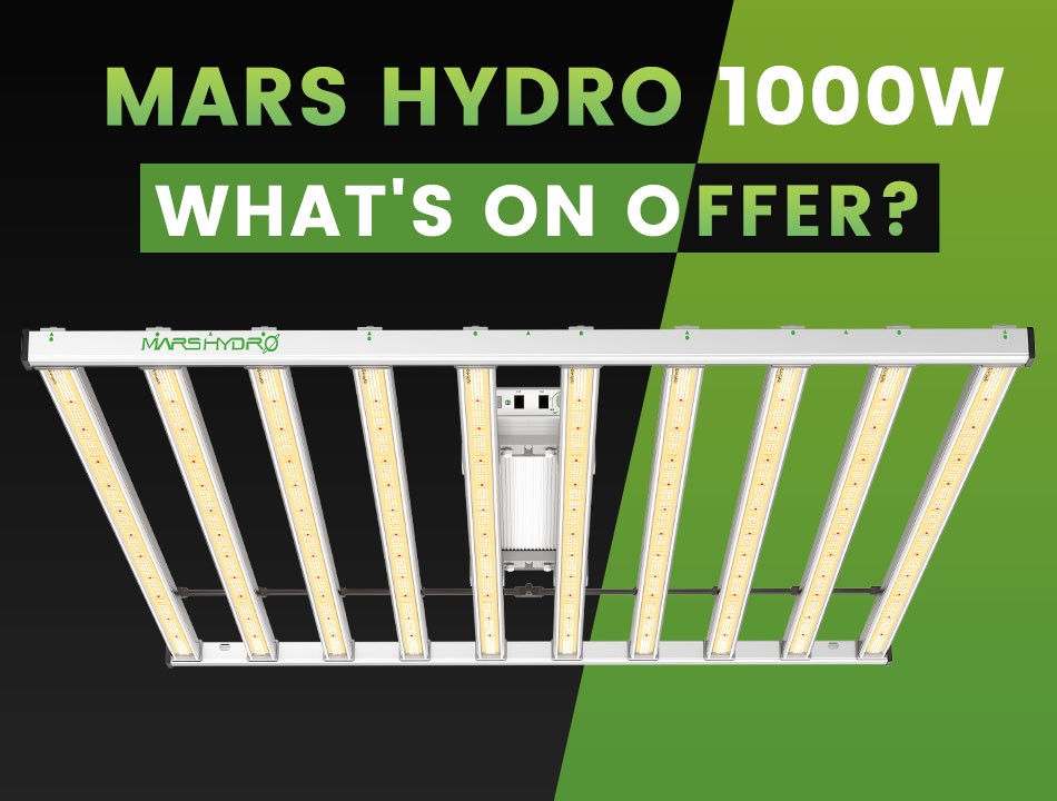 On 1000W LED Grow Lights, What Does Mars Hydro Offer?