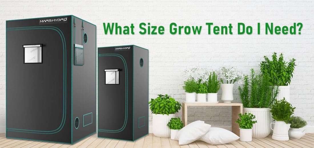 What size grow tent for 4 plants?