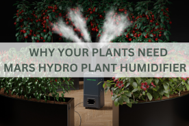 Why Your Plants Need Mars Hydro Plant Humidifier