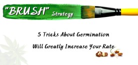 "BRUSH"Strategy: 5 Tips About Germination Will Greatly Increase Your Rate