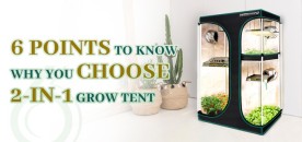 6 Points to Know Why You Choose 2-in-1 Grow Tent