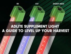 ADLITE Supplement Light - A Guide to Level Up Your Harvest