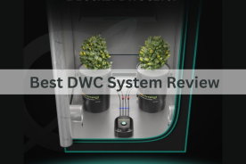 Best DWC System: Deep Water Culture Hydroponic System Review