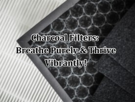 Charcoal Filters: Breathe Purely & Thrive Vibrantly!