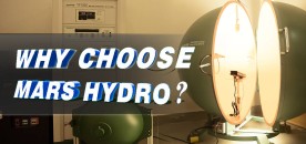 Why Choose Mars Hydro — LED Grow Light Manufacturer Overview and Comparison