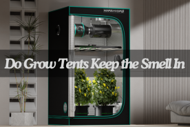 Do Grow Tents Keep the Smell In