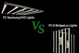 Mars Hydro FC vs FC-E Series: Similarities and Differences