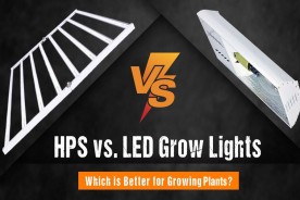 HPS vs. LED Grow Lights — Which is Better for Growing Plants?