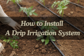 How to Install a Drip Irrigation System