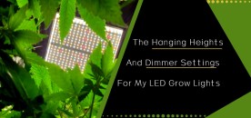 What Are The Hanging Heights For My LED Grow Lights? — The Perfect Grow Light Height For The "Highest" Weed