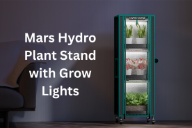 A Breakdown of Mars Hydro Plant Stand with Grow Lights