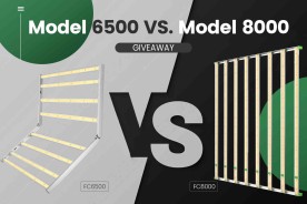 Model Battle: Mars Hydro 6500 vs. 8000 LED Grow Lights丨Which One Is Better For Me?