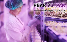 PBAR VS. PAR For Indoor Grow Lights — The Vigor Of UV & IR