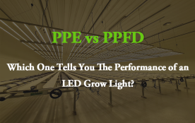 PPE vs. PPFD: Which One Tells You The Performance of an LED Grow Light?
