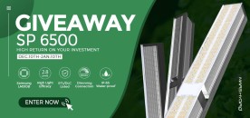Best Greenhouse LED Grow Light - Mars Hydro SP6500 Giveaway