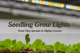 Seedling Grow Lights: From Tiny Sprouts to Mighty Greens