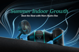 Summer Indoor Growth: Beat the Heat with Mars Hydro Fan + Giveaway