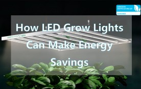 How LED Grow Lights Can Make Energy Savings
