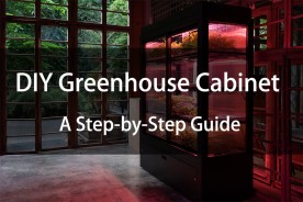 DIY Greenhouse Cabinet: A Step-by-Step Guide