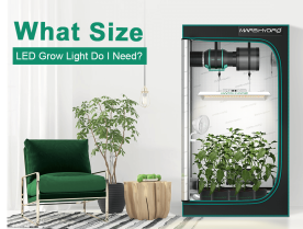 What size of led grow light do i need? The mars hydro led grow light tent kit in the home