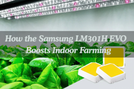 What the Samsung LM301H EVO Brings to Horticultural Lighting