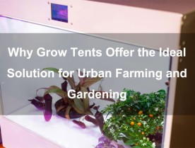 Why Grow Tents Offer the Ideal Solution for Urban Farming and Gardening