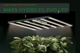 Why FC-EVO LEDs Are the Superior Upgrade for Your Plants
