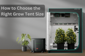 Buyer's Guide: How to Choose the Right Grow Tent Size & 2.3'x2.3' Grow Tent Giveaway
