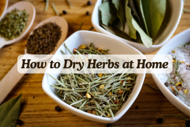 How to Dry Fresh Herbs