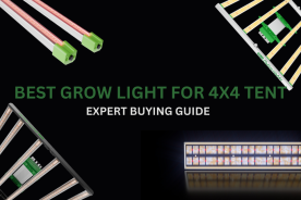 Best Grow Light for 4x4 Tent: Expert Buying Guide