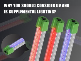 Why You Should Consider UV and IR Supplemental Lighting?