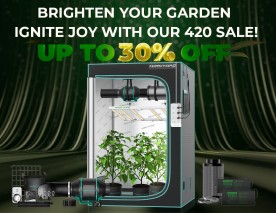 Brighten Your Garden: Ignite Joy with Our 420 Sale!