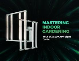 Mastering Indoor Gardening: Your 2x2 LED Grow Light Guide
