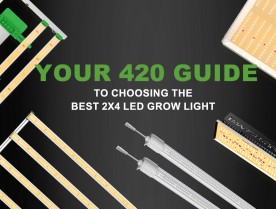 Your 420 Guide to Choosing the Best 2x4 LED Grow Light