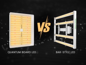 What Are The Advantages of Quantum Board LED Grow Lights Over Bar-Style LED Grow Lights?