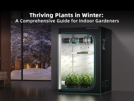 Thriving Plants in Winter: A Comprehensive Guide for Indoor Gardeners