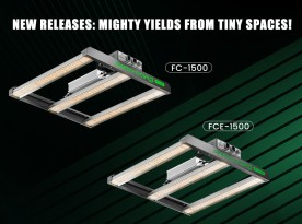 New Releases: Mighty Yields from Tiny Spaces!