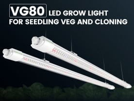 Mars Hydro VG80 LED Grow Light- Perfect for Seedlings Veg and Cloning