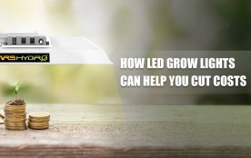 The mars hydro led grow light is shining above a seedling with coins, with text description saying how led grow lights can help cut costs