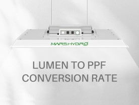 How to Convert Lumen to PPF